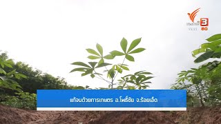 นักข่าวพลเมือง : แก้จนด้วยการเกษตร อ.โพธิ์ชัย จ.ร้อยเอ็ด #ที่นี่ThaiPBS #ThaiPBS