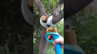 ELECTRIC PRUNING SHEAR | Hooray Gadgets Zone