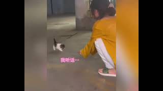 猫咪如何用爱拯救人类，留住这份奇迹