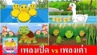 เพลงเป็ด ก้าบ ก้าบ vs เพลงเต่า เอ๋ยเต่า | รวมฮิตเพลงเด็ก 4 เวอร์ชั่น เป็ด เต่า การ์ตูนสัตว์น่ารัก