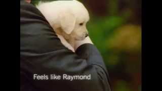 Raymond, The Complete Man TVC - Puppies