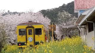 いすみ鉄道🚃到着してまた出発💨