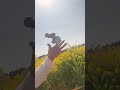 菜の花畑でレジェンド kendama けん玉 黄桜じーじのyoutubeけん玉塾