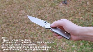 LAND 9103 Frame Lock Pocket Folding Knife - GearBest.com