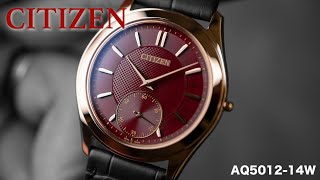 【限定200本】CITIZEN シチズン AQ5012-14W【エコ・ドライブ ワン】