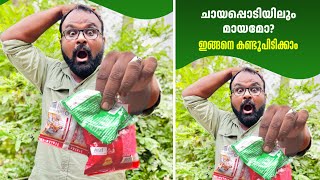 ചായപ്പൊടിയിലെ മായം ഇങ്ങനെ കണ്ടെത്താം