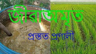 Jivamrit Preparation|| জীৱাঅমৃত প্ৰস্তুত প্ৰণালী|| Ghanjivamrit || Jeevamruit ||প্ৰাকৃতিক খেতি ||