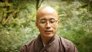 Continuing Thay's Aspiration with Thay Phap Dung | 2022-01-28