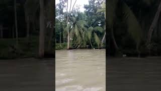 স্বরূপকাঠি।। গৌর নদী।।বাংলাদেশ।। Swarupkati।।Gouro river।।Bangladesh।।