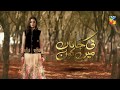 Ki Jaana Mein Kaun | OST | HUM TV | Drama