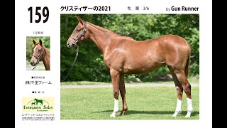 セレクトセール2022 - No.159 クリスティザーの2021(父Gun Runner)