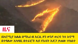 በኦሮሚያ ክልል በማእራብ አርሲ ዞን ወንዶ ወረዳ ጎቱ አኖማ በተባለው አካባቢ በተራሮች ላይ የእሳት አደጋ ቃጠሎ ተከሰተ