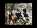 Elephants brought in to help shift debris