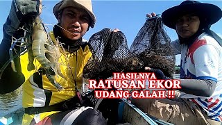 PEMANCING PALING BERUNTUNG DI DUNIA !! MANCING UDANG GALAH TERBAIK