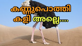 എന്തിനാണ് ഒട്ടപ്പക്ഷി തല മണ്ണിൽ താഴ്ത്തുന്നത് ? why Ostriches bury their heads in the sand ??