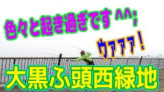 釣り動画ロマンを求めて 267釣目（大黒ふ頭西緑地）