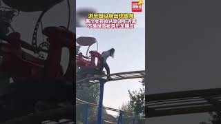 遊樂場設施出故障，倆女孩欲從軌道上逃離，不慎被遊樂車碾壓。#新聞#真實事件#奇聞趣事#shorts