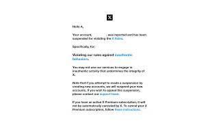 I Got BANNED on Twitter After Paying… (No Reason Given)