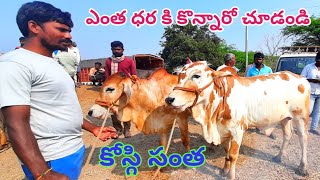 బ్యాలంపేట(దౌలతబాద్)రైతు ఈ కోడెలను ఎంతకి కొన్నాడో చూడండి, cattle Price in kosgi cattle market