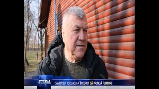 DAVIȚOIU: CIOLACU A ÎNCEPUT SĂ PRINDĂ FLUTURI