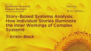 Story-Based Systems Analysis: Individual Stories Illuminate the Inner Workings of Complex Systems