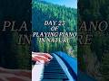 Day 23 of playing piano in nature #pianocover #pianomusic #piano