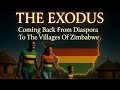 Zimbabwe Diaspora Exodus: Vana VeZimbabwe Returning Home 🇿🇼