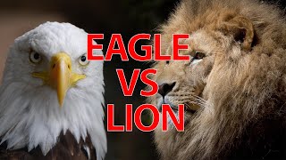 Myles munroe Lion and eagle Motivation