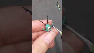 스폰지밥 플랑크톤만한 플랑크톤  만들기 | I made a Spongebob plankton with 3D pen #3dpen #3d펜 #3dペン