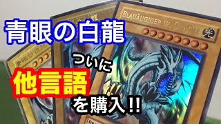 【遊戯王】青眼の白龍、ドイツ語版を購入！！