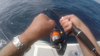 Pioneer Altitude 8000 Reel on Bluefin Tuna