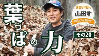 【あんぐる】就農５年目の山田君　その２０・葉っぱの力(茨城県石岡市)