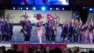 ドコモ一座　 高知よさこい2019  地区競演場連合会奨励賞  後夜祭　4k