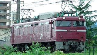 EF81 141  単機で長岡車両センターへ帰還　信越本線