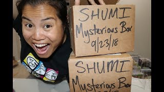 shumi mystery boxes