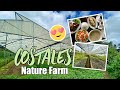 COSTALES NATURE FARM | Majayjay, Laguna