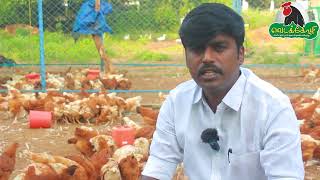 BV380 ரக கோழி வருடத்திற்கு 350 முட்டைகளிடும் | Vedakozhi Egg Farm | High Egg laying chickens