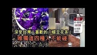 (小陳世界) 深受台灣人喜歡的「蝶豆花茶」花青素10倍喝，兩步自製蝶豆花茶，抗老抗氧化、預防糖尿病，一杯6種功效「但唯獨這四種人不能碰」