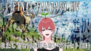 【FF14/わかば🌱】仕事なんて夜中に片づけてやったわ【#6】