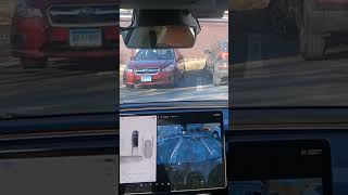 Tesla FSD (Supervised) v13.2.2.1 Integrated Park Demo