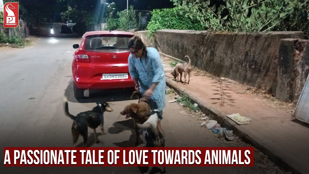 A Passionate Tale Of Love Towards Animals Youtube