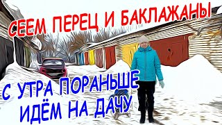 С УТРА ПОРАНЬШЕ ИДЁМ НА ДАЧУ  СЕЕМ ПЕРЕЦ И БАКЛАЖАНЫ