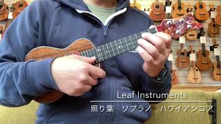 【試奏動画】Leaf Instruments 照り葉 ソプラノ ハワイアンコア   [UKULELE BIRD]