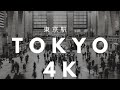 Tokyo Station 東京駅 4K Walk Latte #latte #japan #東京駅