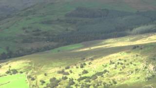 mach loop 2 f15 eagles