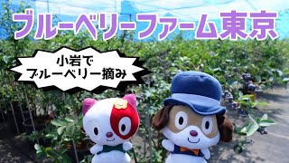 『ブルーベリーファーム東京』ってどんな農園？　Vol.17 シャポーちゃんポポちゃんの「江戸川探訪」