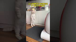 主人給貓咪買了自動貓砂盆，下一秒它的反應亮了。#cat #funny