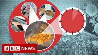 Coronavirus: More myths to ignore - BBC News