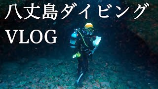 【Vlog】八丈島でダイビング  4回目