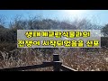 생태계교란식물17종